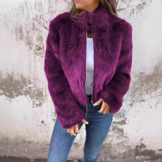 🔥Femeii cu gât înalt Faux Fur Zipper Casual Jacket